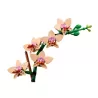 Mini-Orchidea - Lego 10343
