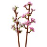Fiori di ciliegio - Lego 40725 new