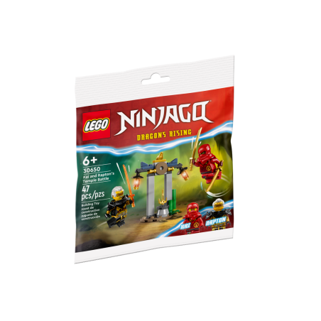 Battaglia Nel Tempio Di Kai E Rapton - Lego Ninjago 30650